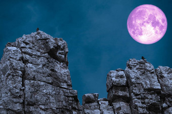 紫色的月亮回来石头怪物悬崖
