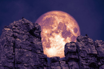 黑暗紫色的月亮回来石头怪物岩石