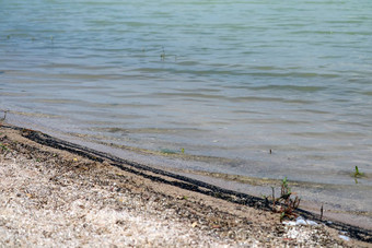 海滩受污染的石油船导致海洋