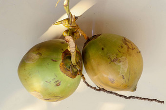 一边视图椰子夫妇异国情调的热带水果新鲜的年轻的绿色椰子白色背景有创意的平躺健康的食物概念前视图剪裁路径