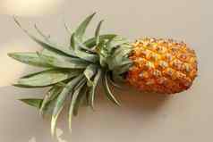 单菠萝热带水果菠萝孤立的白色背景菠萝叶子黄色的橙色成熟的新鲜的菠萝异国情调的热带水果完整的菠萝