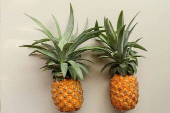 夫妇菠萝热带水果菠萝孤立的白色背景菠萝叶子黄色的橙色成熟的新鲜的菠萝异国情调的热带水果完整的菠萝