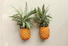夫妇菠萝热带水果菠萝孤立的白色背景菠萝叶子黄色的橙色成熟的新鲜的菠萝异国情调的热带水果完整的菠萝