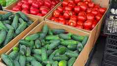 出售新鲜的有机水果蔬菜农民市场盒子选择产品健康的饮食