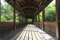 日本寺庙木走日本花园《京都议定书》寺庙