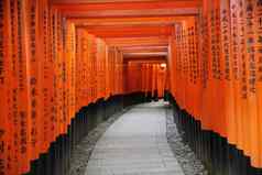 《京都议定书》6月伏见inari大社神社inari《京都议定书》日本