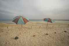 雨伞热带海滩狂风暴雨的天空