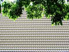 影子叶子屋顶瓷砖背景