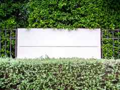栅栏混凝土自然花园墙草