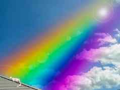 猫日光浴彩虹屋顶