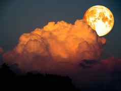 超级月亮橙色云轮廓树