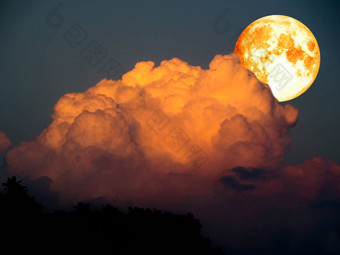 超级月亮橙色云轮廓树