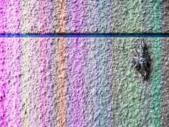 蝴蝶可爱的颜色沙子纹理墙