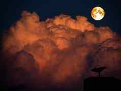 超级血月亮卫星磁盘黑暗橙色堆云
