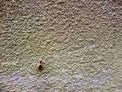蜗牛爬砂岩墙概念目标成功