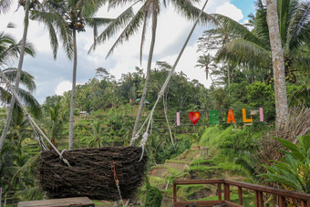 摇摆不定的高峡谷悬崖丛林热带雨林热带tegalalang鸟的巢稻草旅游照片区域巴厘岛印尼摇摆不定的挂椰子树
