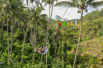 年轻的女孩摇摆摇摆不定的高峡谷年轻的旅游女人摆动悬崖丛林热带雨林热带tegalalang巴厘岛摇摆不定的暂停椰子树