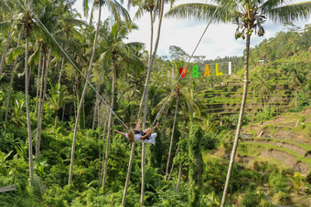 年轻的女孩摇摆摇摆不定的高峡谷年轻的旅游女人摆动悬崖丛林热带雨林热带tegalalang巴厘岛摇摆不定的暂停椰子树