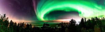 全景视图强大的北部灯大气现象“史蒂夫。”满足乳白色的史蒂夫出现紫色的绿色光丝带高度北部瑞典斯堪的那维亚