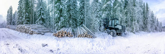 全景视图商业木材松树日志清晰的减少冬天森林北部瑞典雪封面树干多云的冬天一天雪路拉斯堪的那维亚现代瑞典林业