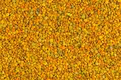 无缝的平纹理背景黄色的蜜蜂花粉颗粒