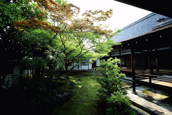 日本花园日本寺庙《京都议定书》日本