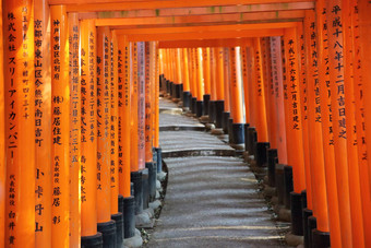 《京都议定书》6月伏见inari大社神社inari《京都议定书》日本