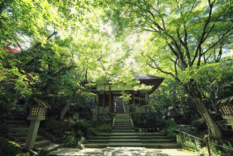日本寺庙花园