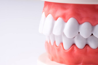 集牙医的设备工具假牙显示植入物