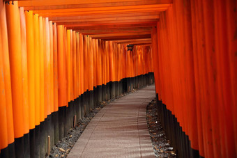 红色的托里门伏见inari神社《京都议定书》日本