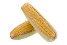 甜蜜的玉米玉米穗轴内核谷物成熟的玉米孤立的