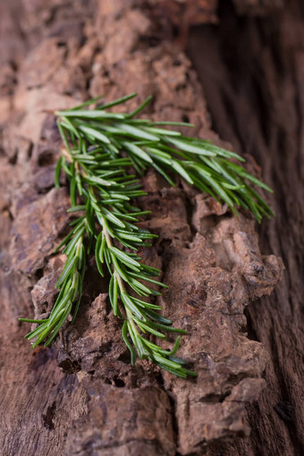 迷迭香<strong>草本</strong>植物药用<strong>草本</strong>植物有机疗愈<strong>草本</strong>植物新鲜的