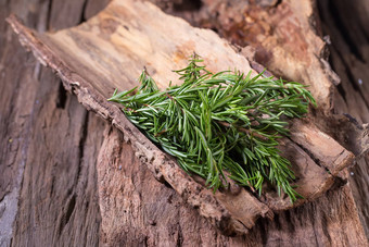 迷迭香<strong>草本</strong>植物药用<strong>草本</strong>植物有机疗愈<strong>草本</strong>植物新鲜的