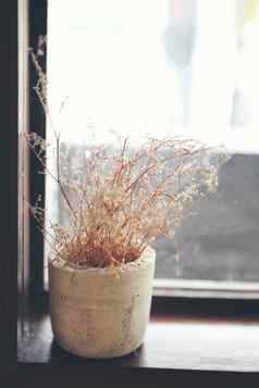 干植物花花瓶木窗口
