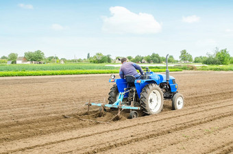 农民拖拉机cultivator<strong>流程</strong>农场场土壤准备切割行种植作物植物农业农业综合企业农业行业日益增长的蔬菜食物植物