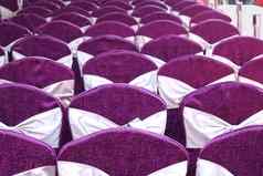 节日椅子紫色的布覆盖