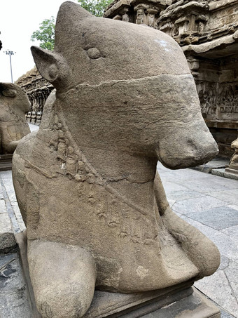 南迪牛雕塑坎奇凯拉萨纳塔尔寺庙坎奇普拉姆