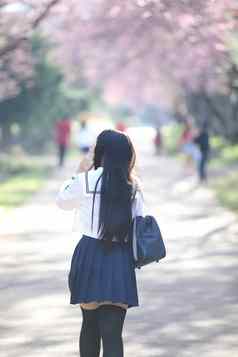 日本学校女孩衣服樱花花自然人行道