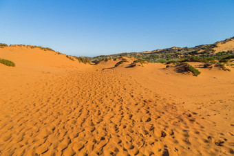 桑迪海岸alentejo