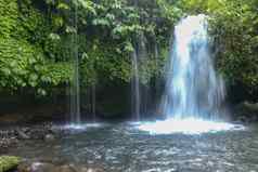 流叶瀑布位于郁郁葱葱的大米field-ladenpenebel村塔巴南jatiluwih大米阳台巴厘岛印尼美丽的瀑布深热带丛林