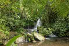 水流石头叶河热带丛林美丽的瀑布位于郁郁葱葱的大米field-ladenpenebel村塔巴南jatiluwih大米阳台巴厘岛印尼