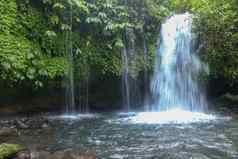 流叶瀑布位于郁郁葱葱的大米field-ladenpenebel村塔巴南jatiluwih大米阳台巴厘岛印尼美丽的瀑布深热带丛林