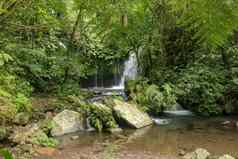 水流石头叶河热带丛林美丽的瀑布位于郁郁葱葱的大米field-ladenpenebel村塔巴南jatiluwih大米阳台巴厘岛印尼