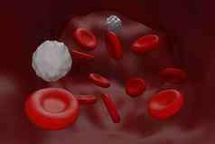 红色的血白色血细胞概念内部布卢德管图