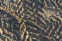 挖掘机跟踪地面纹理泥地面地球土壤跟踪跟踪标志着标记干表面纹理