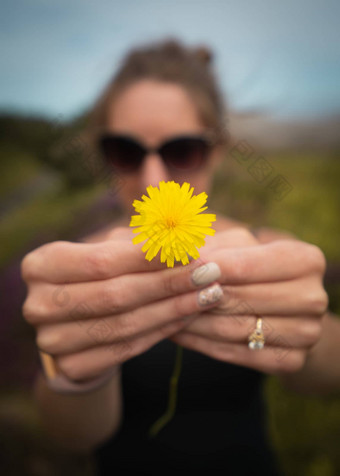 女人持有黄色的花