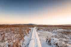 农村冬天景观日出雪路