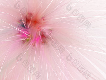 粉红色的温柔的软分形花电脑生成的图像标志设计概念网络打印海报花背景