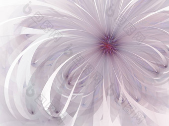 紫色的温柔的软分形花电脑生成的图像标志设计概念网络打印海报花背景