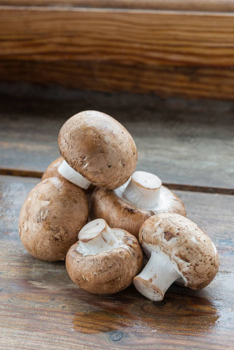 棕色（的）香榭丽舍蘑菇